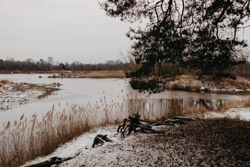 Gaujaupe Villa Gauja  Dış mekan fotoğraf